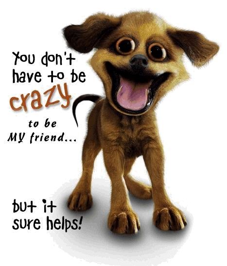 i found this today!! isnt it cute?
