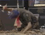 422228910_m.gif