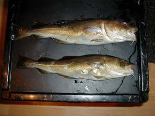p1010004.jpg