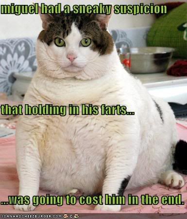 funny fat cat pictures. Mar 5