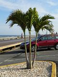 photo 100_1915_zpsc0fef063.jpg