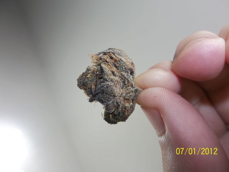 Posted Image