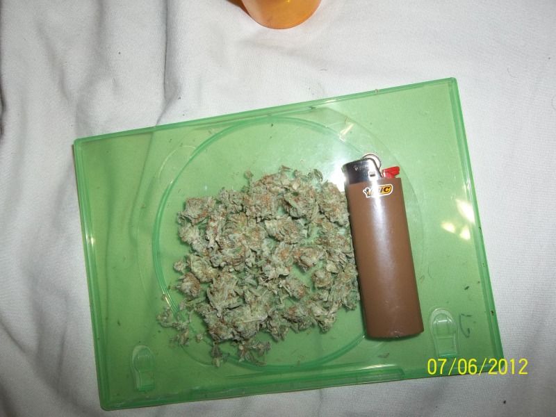 Posted Image