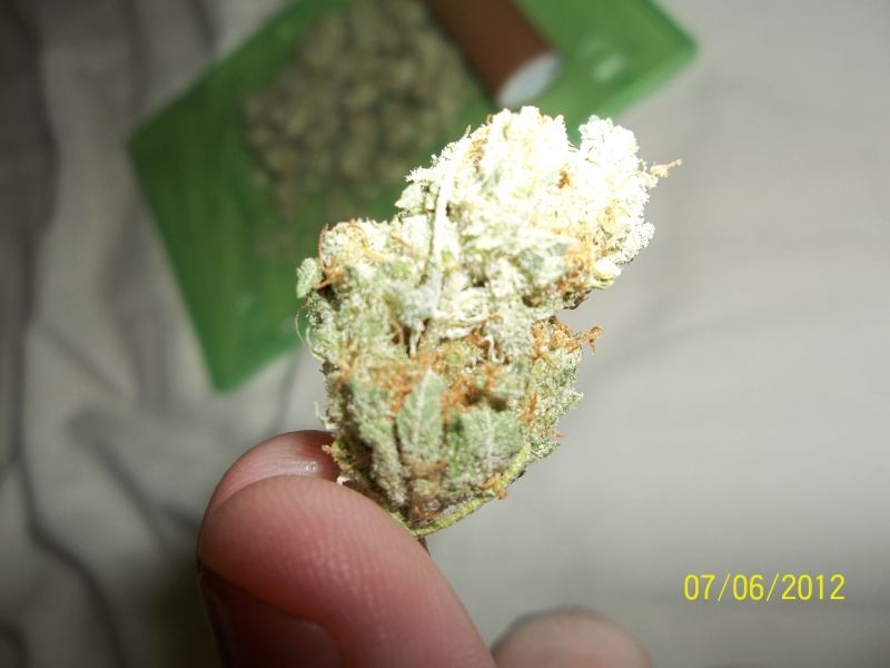 Posted Image