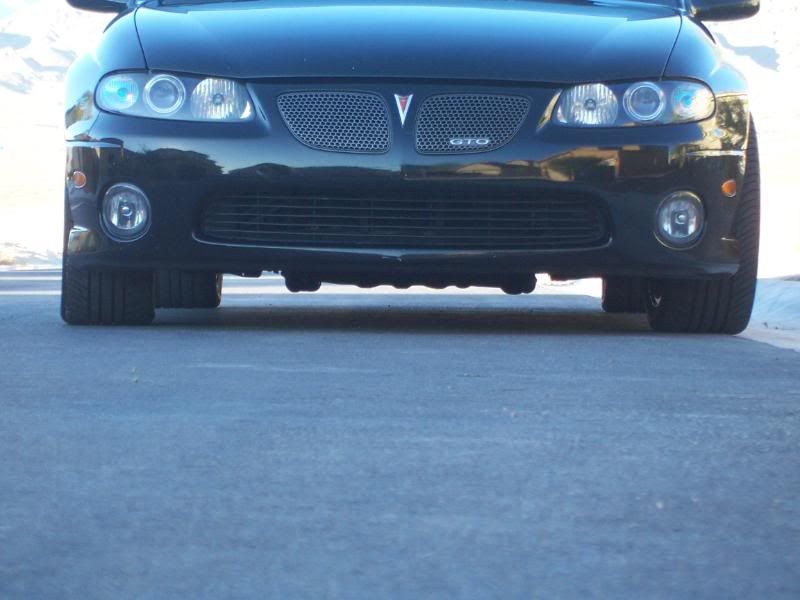 Post your dropped goats... - Page 20 - LS1GTO.com Forums