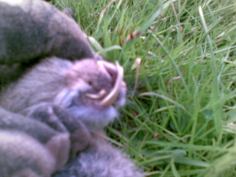 14072007067.jpg