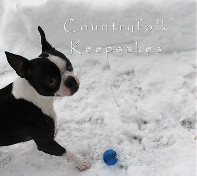 photo firstsnow2_zpstic1exff.jpg