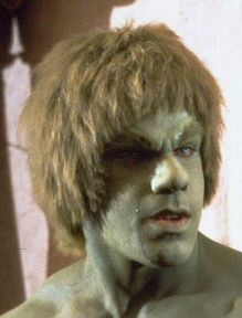 photo Bill-Bixby-Hulk_zpsabfbc575.jpg