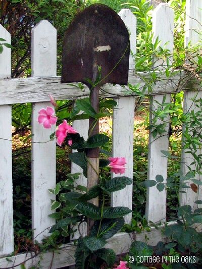 photo garden7_zpsdf0301cc.jpg