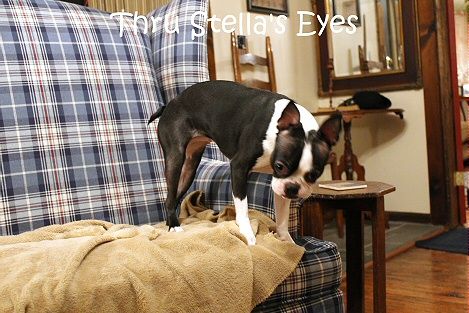 photo ny2_zps09bbe4b6.jpg