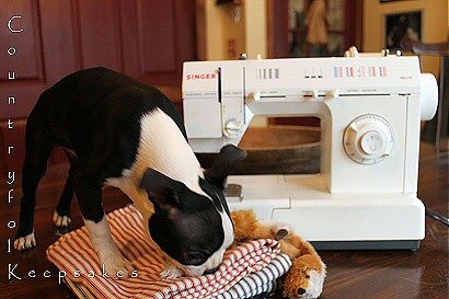 photo sewingstella_zps05482037.jpg