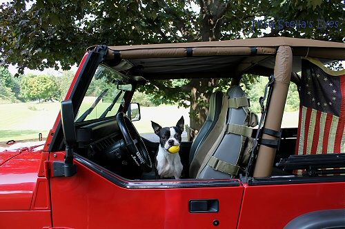photo stellajeep_zps1rj7lsdj.jpg