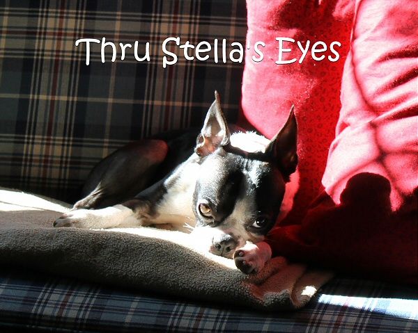 photo sunny stella_zpspgqamf0z.jpg
