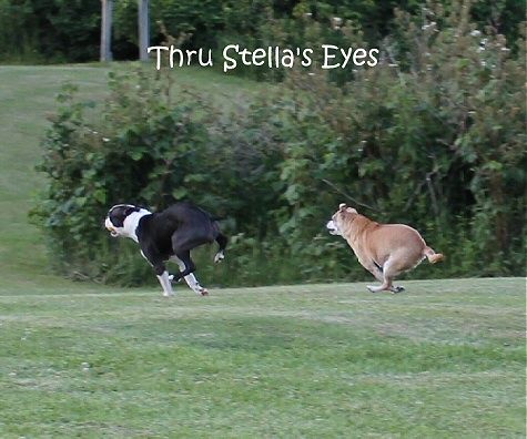 photo yellow11_zps549d3f1d.jpg