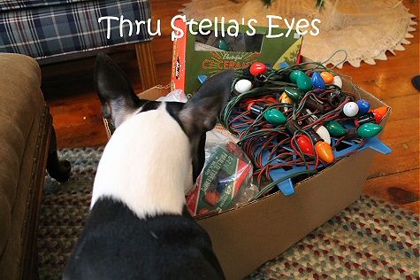 photo bulbs1_zps3e61c1d8.jpg