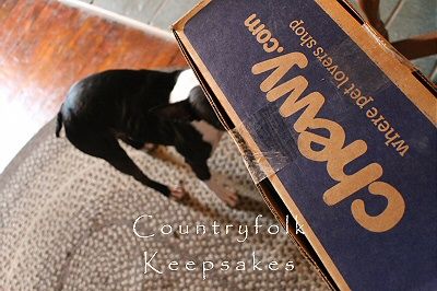photo chewy1_zpsfg448jz9.jpg
