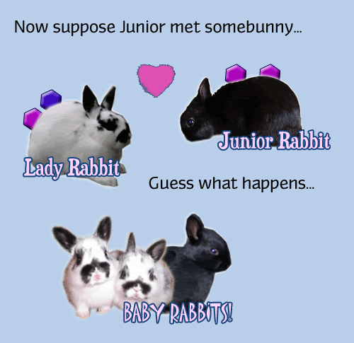 Cute chart showing how baby rabbit get genes from their parents