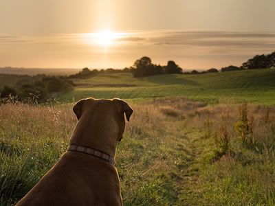 IMAGE: http://i77.photobucket.com/albums/j51/elfy32the2nd/August05.jpg