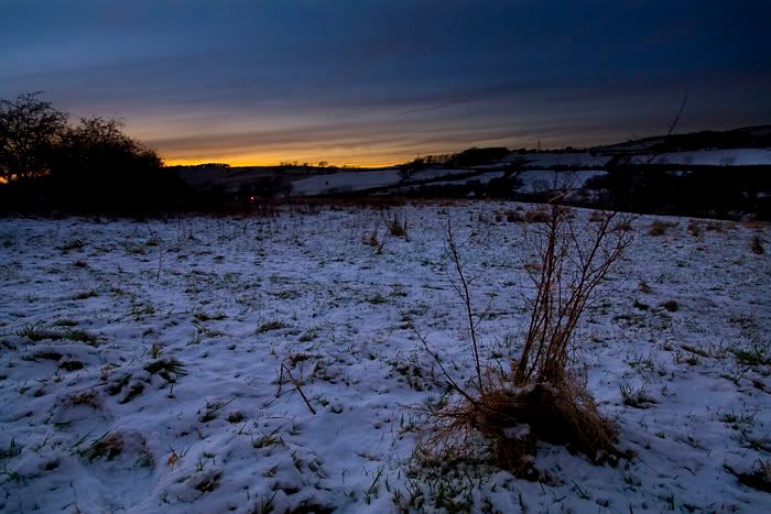 IMAGE: http://i77.photobucket.com/albums/j51/elfy32the2nd/February05ForWeb-1.jpg