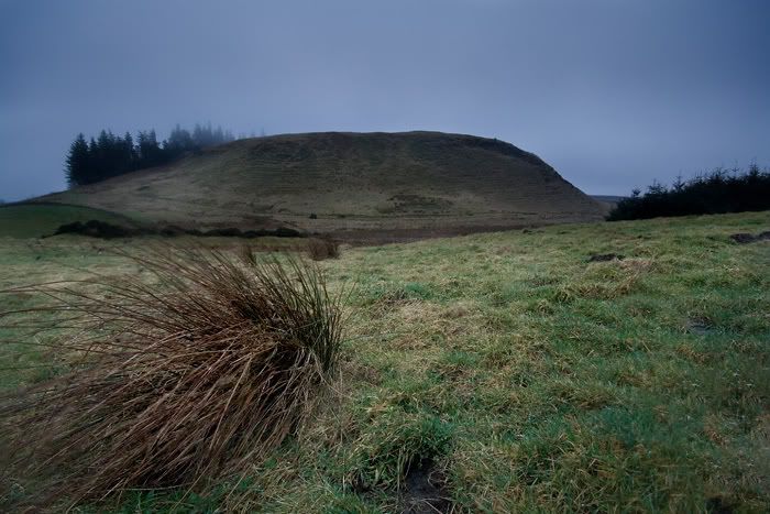 IMAGE: http://i77.photobucket.com/albums/j51/elfy32the2nd/February26ForWeb.jpg