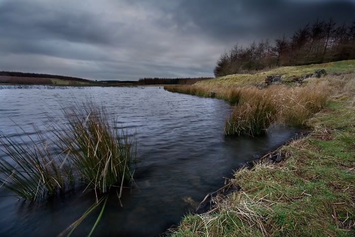 IMAGE: http://i77.photobucket.com/albums/j51/elfy32the2nd/February27_2ForWeb.jpg