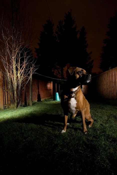 IMAGE: http://i77.photobucket.com/albums/j51/elfy32the2nd/January07ForWeb.jpg