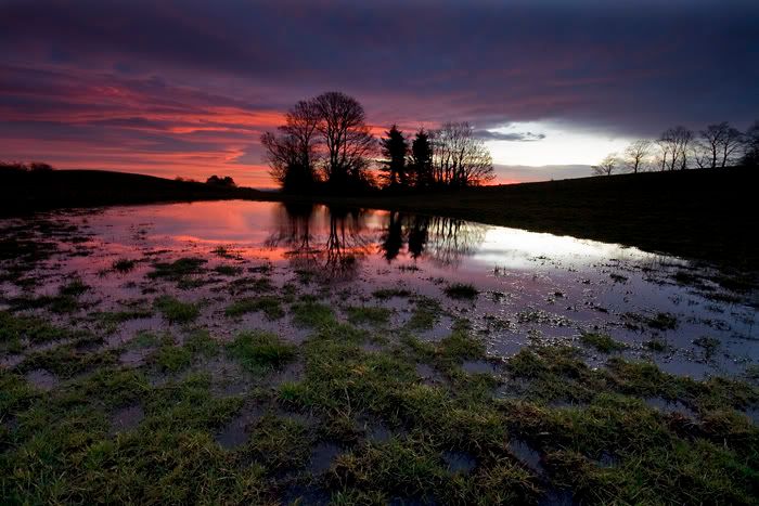 IMAGE: http://i77.photobucket.com/albums/j51/elfy32the2nd/January31ForWeb.jpg