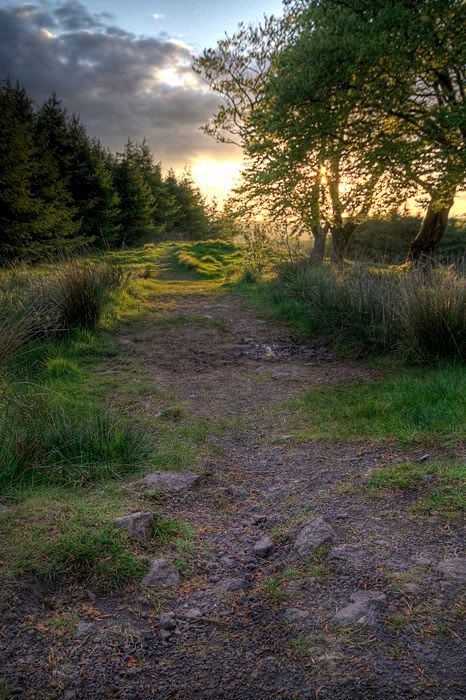 IMAGE: http://i77.photobucket.com/albums/j51/elfy32the2nd/PathToTheGoldenSunsetForWeb.jpg