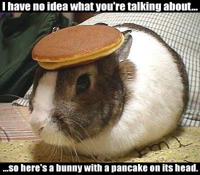 http://i77.photobucket.com/albums/j51/elfy32the2nd/bunny-pancake.jpg