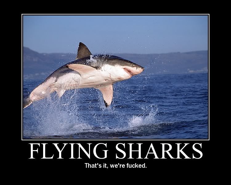 flying_shark.jpg