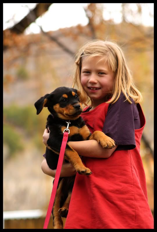 IMAGE: http://i77.photobucket.com/albums/j52/ameybrook/Photography/alpin1.jpg