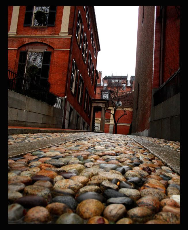 IMAGE: http://i77.photobucket.com/albums/j52/ameybrook/Photography/cobbles.jpg