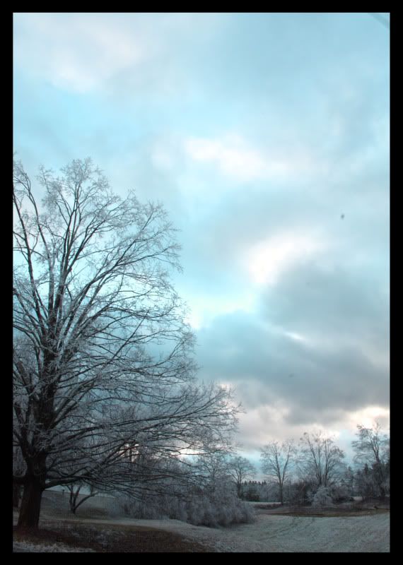 IMAGE: http://i77.photobucket.com/albums/j52/ameybrook/Photography/icestorm1.jpg