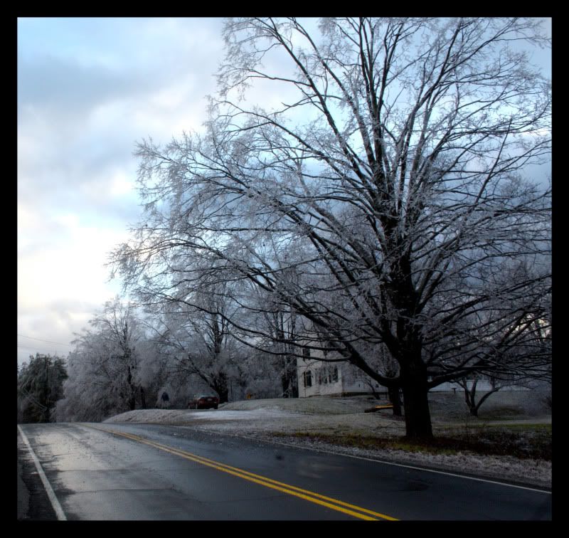 IMAGE: http://i77.photobucket.com/albums/j52/ameybrook/Photography/icestorm2.jpg