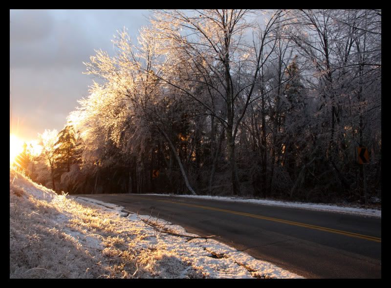IMAGE: http://i77.photobucket.com/albums/j52/ameybrook/Photography/icestorm3.jpg