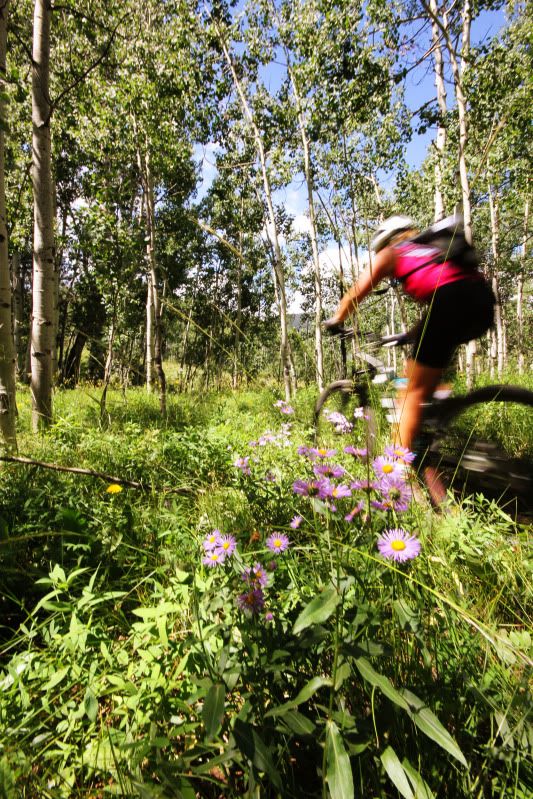 IMAGE: http://i77.photobucket.com/albums/j52/ameybrook/Photography/strand.jpg