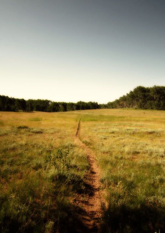 IMAGE: http://i77.photobucket.com/albums/j52/ameybrook/Photography/top_o_409.jpg