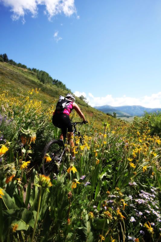 IMAGE: http://i77.photobucket.com/albums/j52/ameybrook/Photography/upper-upper.jpg