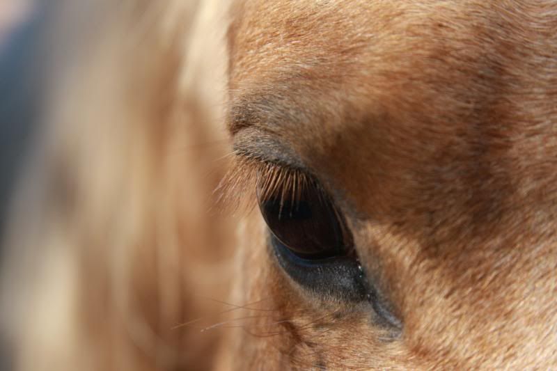 IMAGE: http://i77.photobucket.com/albums/j53/CattyT_2006/IMG_5584.jpg