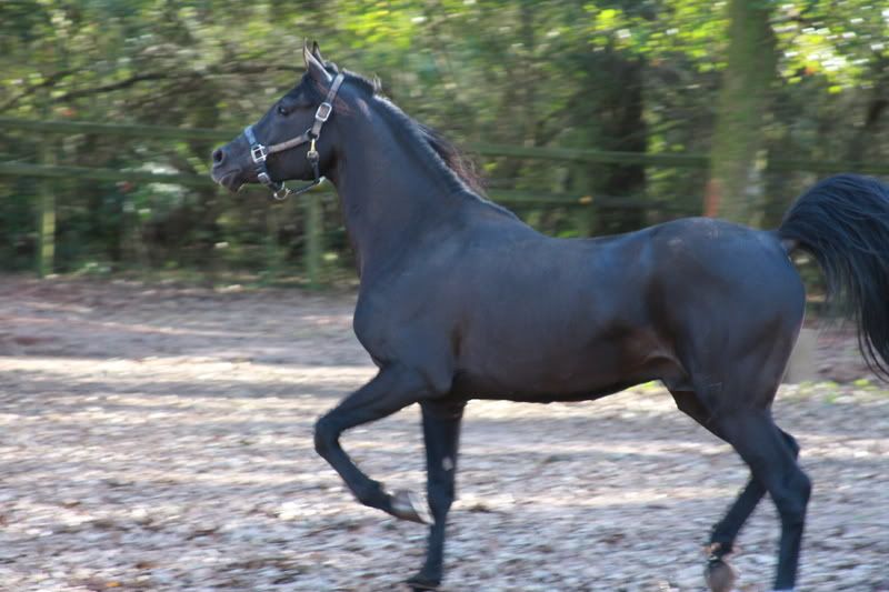 IMAGE: http://i77.photobucket.com/albums/j53/CattyT_2006/IMG_5612.jpg