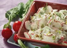 Salata od rotkvica - recepti zdrave hrane