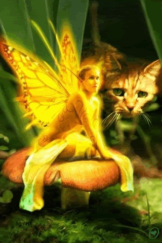 orao animacija Pictures, Images and Photos