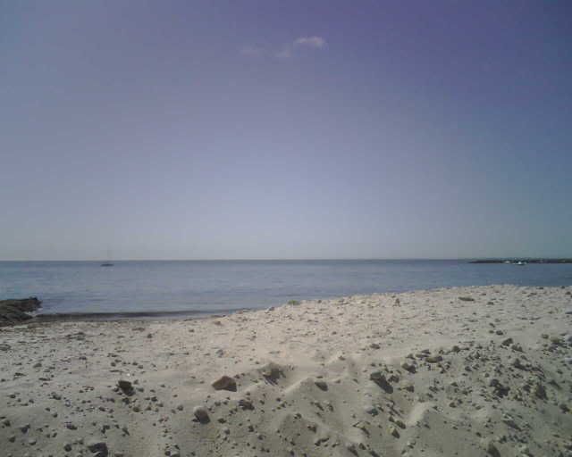 IMG00178.jpg