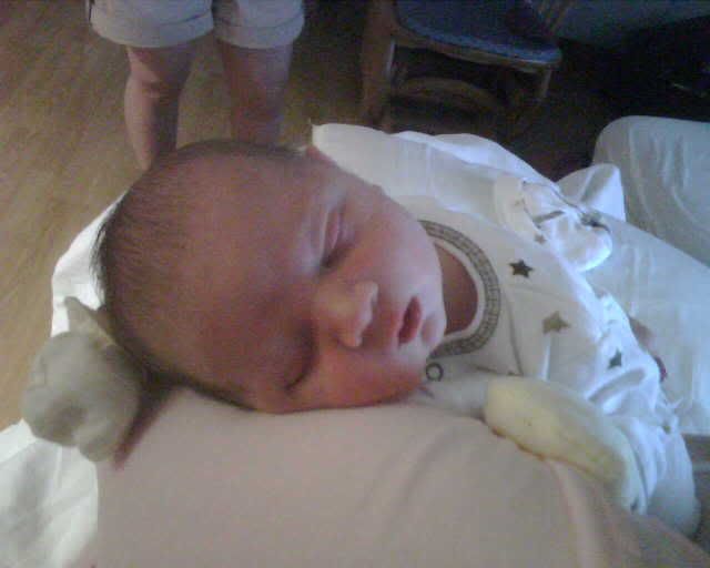 IMG00187.jpg