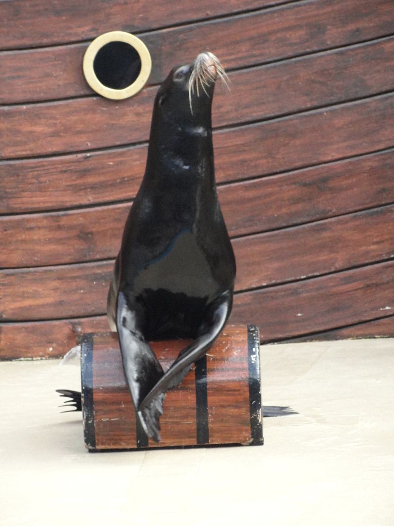 Seaworld2011091.jpg