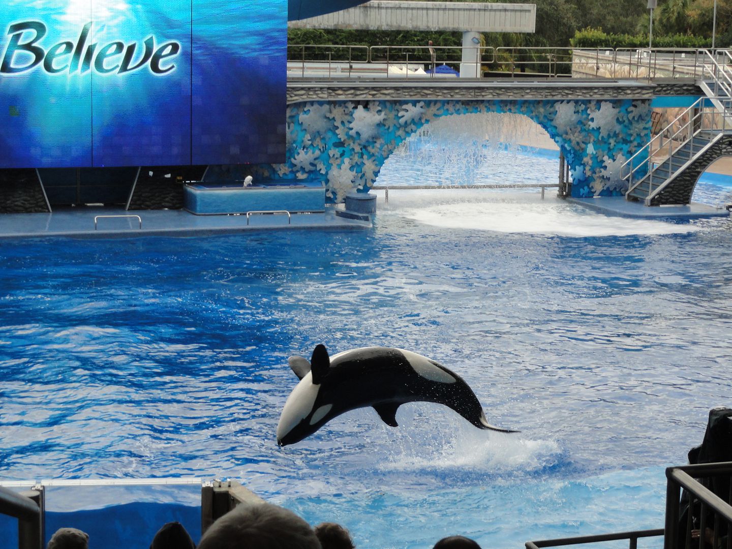 Seaworld2011114.jpg