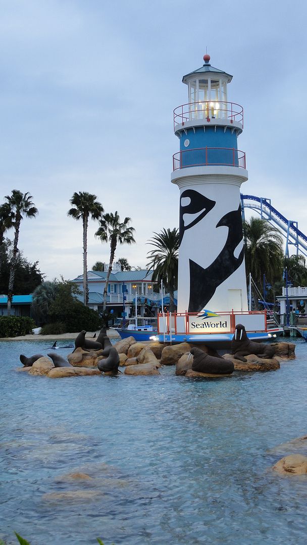 Seaworld2011184.jpg