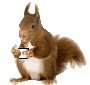 squirrel_drinking_coffee.gif