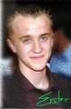 tomfelton2.jpg