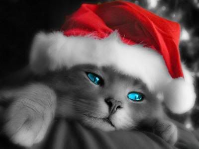 [img width=400 height=300]http://i77.photobucket.com/albums/j56/marioncos/cos%20country/kerstkat.jpg[/img]